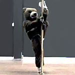 Аватара пользователя