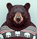 Аватара пользователя