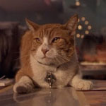 Аватара пользователя