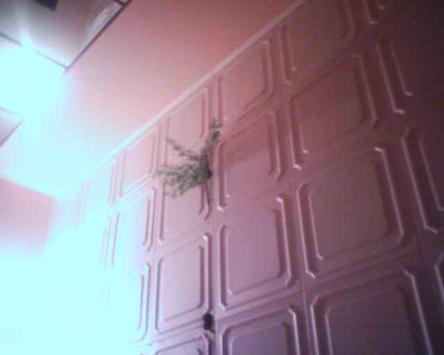 HPIM0005_изменить размер.jpg