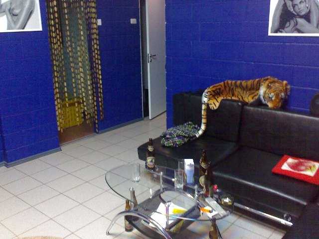 общий план.jpg