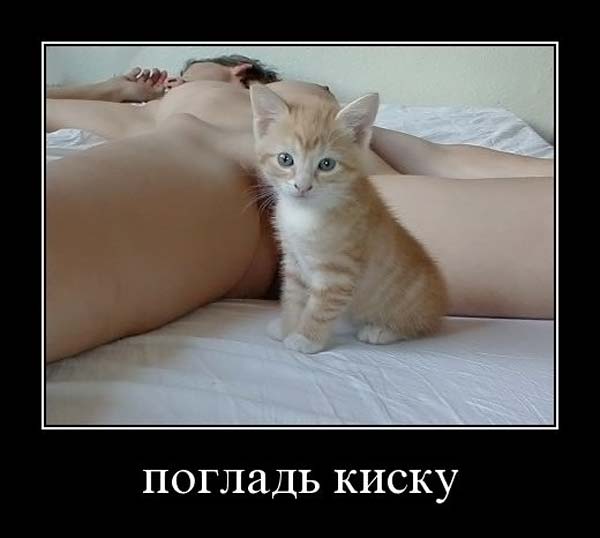 fotoprikol_012.jpg