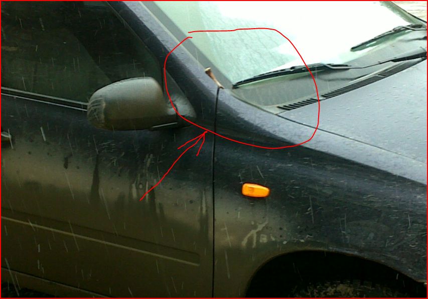 В калину кости.JPG