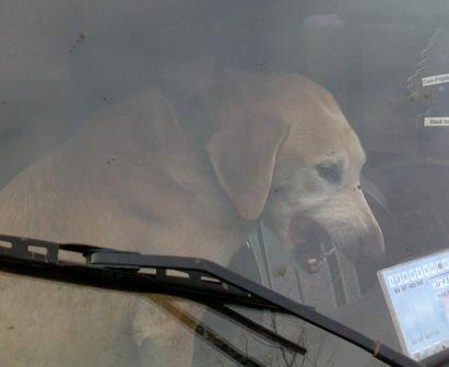 Плакун в нетерпении!