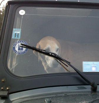 Отработал..