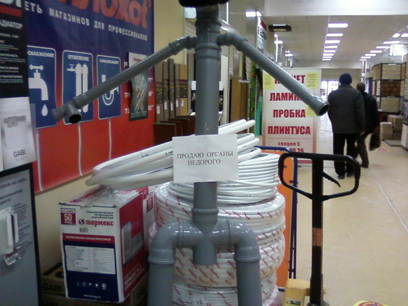 Органы продажа.jpg