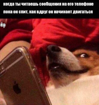 1512321491.jpg (44.91 КБ) 4282 просмотра Дааа!;)